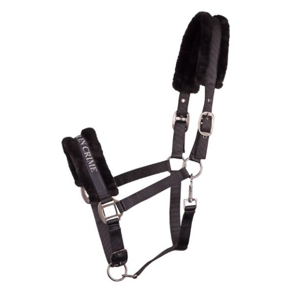 Harrys Horse - Lyrics quotes grime