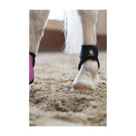 HorseGuard - Tary bagbensgamacher