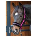 Harrys Horse - Lyrics quots grime