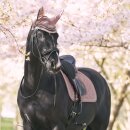 Imperial Riding - Lenny dressur underlag