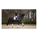 LeMieux - Crystal suede dressur underlag 