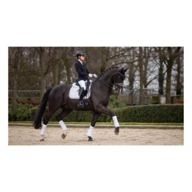 LeMieux - Crystal suede dressur underlag 
