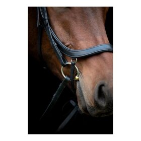 HorseGuard - Vinja anatomisk trense