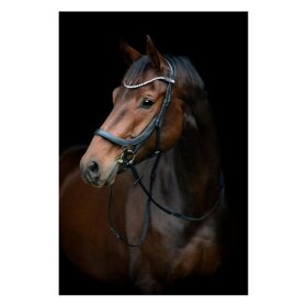 HorseGuard - Vinja anatomisk trense