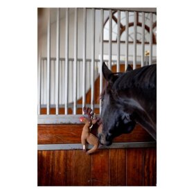 HorseGuard - Hestelegetøj rensdyr