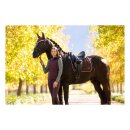 LeMieux - Loire classic square dressur underlag