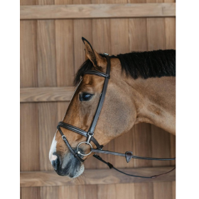 Dyon - Training bridle 