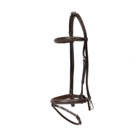 Dyon - Training bridle 