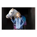 HorseGuard - Gradient grime