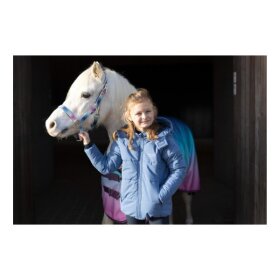 HorseGuard - Gradient grime