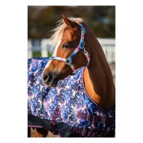 HorseGuard - Gradient grime