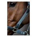 HorseGuard - Vardia flet grime