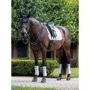 LeMieux - Loire classic dressur underlag