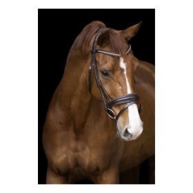 Imperial Riding - Fria trense 