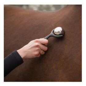 QHP - Massage roller 