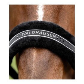 Waldhausen - Elegant grime