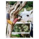 CANDY HORSE - Wooden toy Happiness