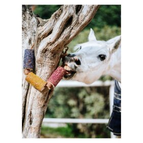 CANDY HORSE - Wooden toy Happiness