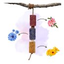 CANDY HORSE - Wooden toy Happiness