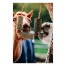CANDY HORSE - Wooden toy Calm