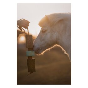 CANDY HORSE - Wooden toy Breath