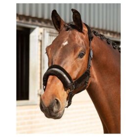 Harrys Horse - Denici grimesæt