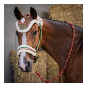 Harrys Horse - Julegrime m. hut og træktov