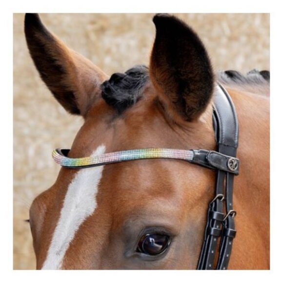 Harrys Horse - Rainbow pandebånd