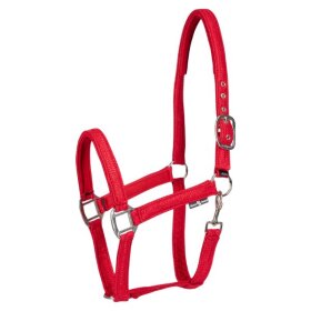 HorseGuard - Jewel grime