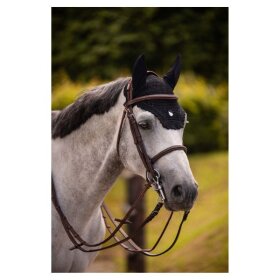 Samshield - Swarovski hut Samshield - Swarovski hut