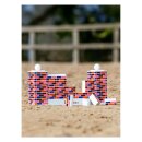 LeMieux - Mini toy pony spring mur