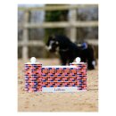 LeMieux - Mini toy pony spring mur