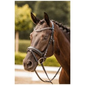 Horze - Columbia pandebånd Horze - Columbia pandebånd