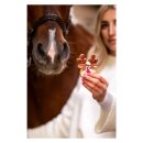 CANDY HORSE - Rensdyr cookie