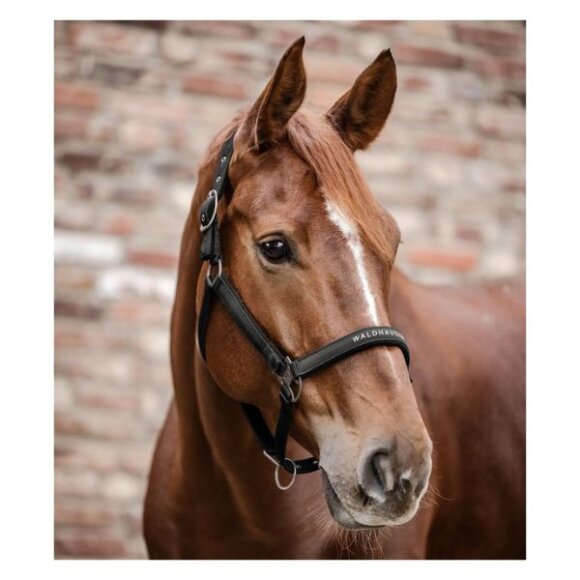 Waldhausen - Athletic grime Waldhausen - Athletic grime