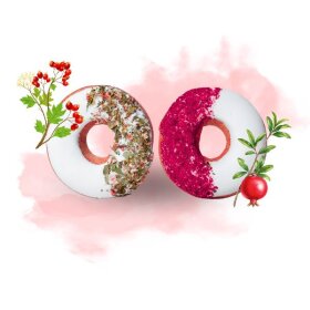 CANDY HORSE - Donuts 