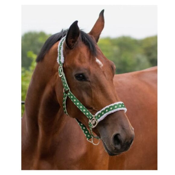 QHP - Alfe julegrime