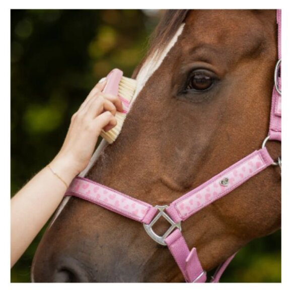 QHP - Lyvia hovedbørste 