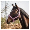 QHP - Lyvia grime QHP - Lyvia grime