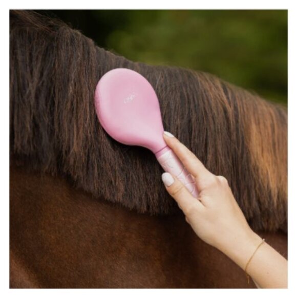 QHP - Lyvia man og halebørste