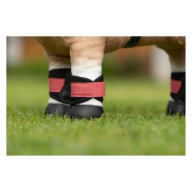 LeMieux - Mini toy pony Grafter gamacher LeMieux - Mini toy pony Grafter gamacher