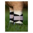 LeMieux - Mini toy pony Grafter gamacher LeMieux - Mini toy pony Grafter gamacher