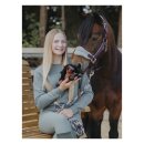 LeMieux - Harlow tiny beanie pony Rolo LeMieux - Harlow tiny beanie pony Rolo