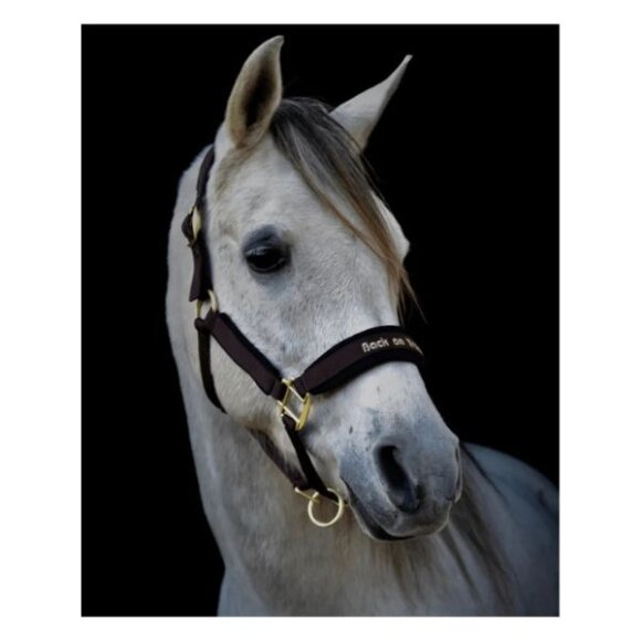 Back On Track - Werano grime