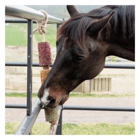 Kentucky horsewear - Wooden relax horse toy - De-stress