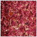 Kentucky horsewear - Wooden relax horse toy - Unicorn joy