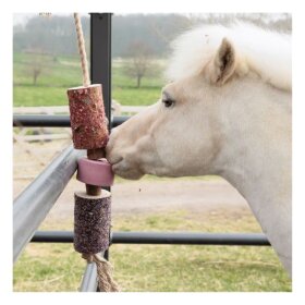 Kentucky horsewear - Wooden relax horse toy with salt lick Kentucky horsewear - Wooden relax horse toy with salt lick