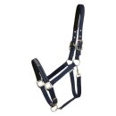 HorseGuard - Sandra grime