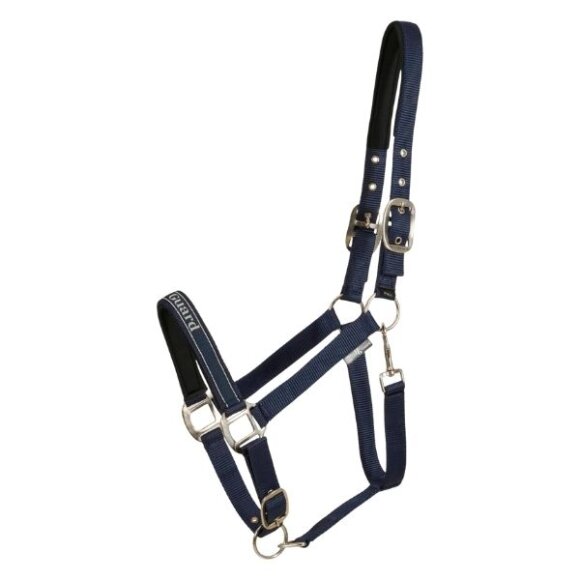 HorseGuard - Sandra grime