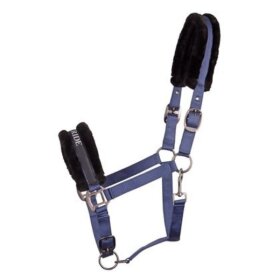 Harrys Horse - Lyrics quotes grime